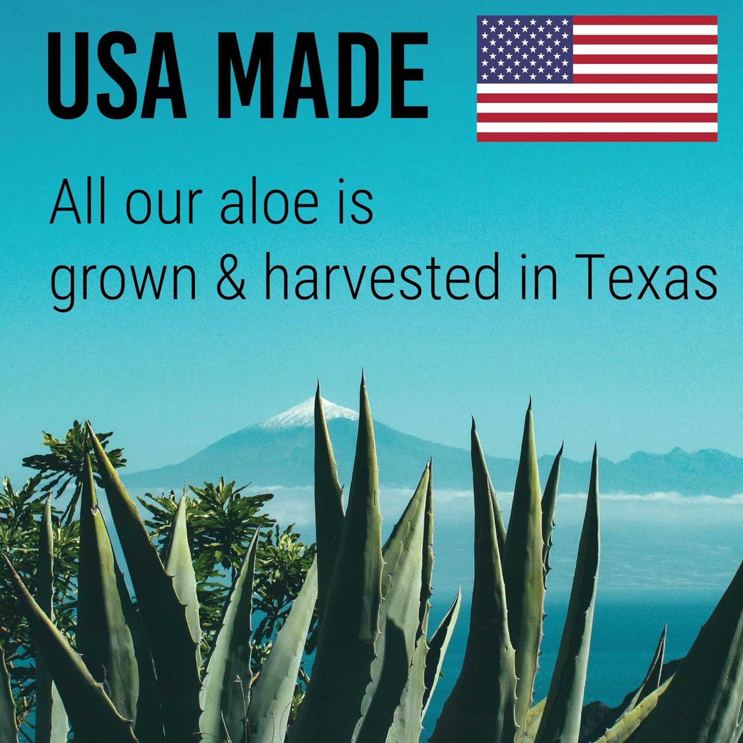 Green Leaf Naturals Amazing Aloe Gel – 16oz (2x8oz), 100% Pure, Unscented, Vegan, USA Made