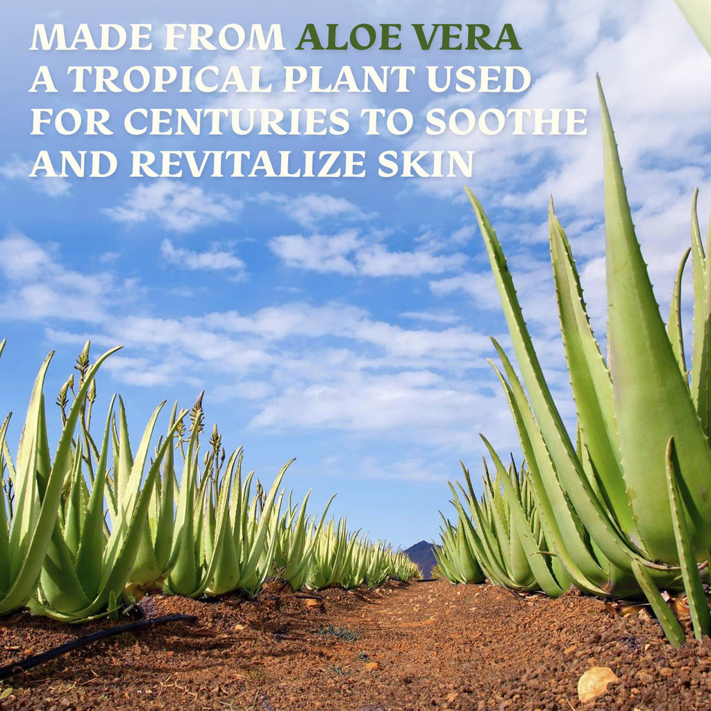Green Leaf Naturals Amazing Aloe Vera Gel – 12oz Pure, Freshly Cut, Unscented