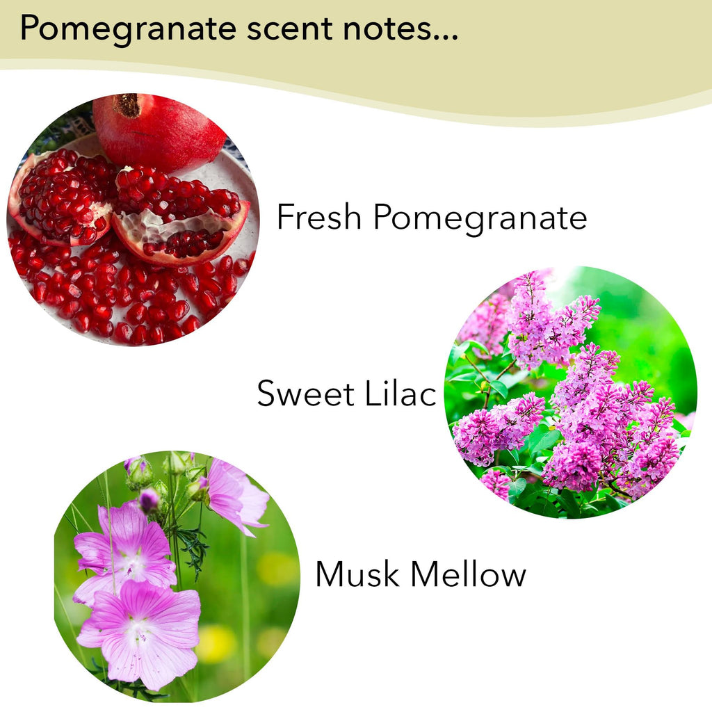 Greenwich Bay Fruity Soap Sampler – 4 Soaps with Shea Butter & Essential Oils (Juicy Peach, Passion Flower, Pomegranate, Lemon Verbena)