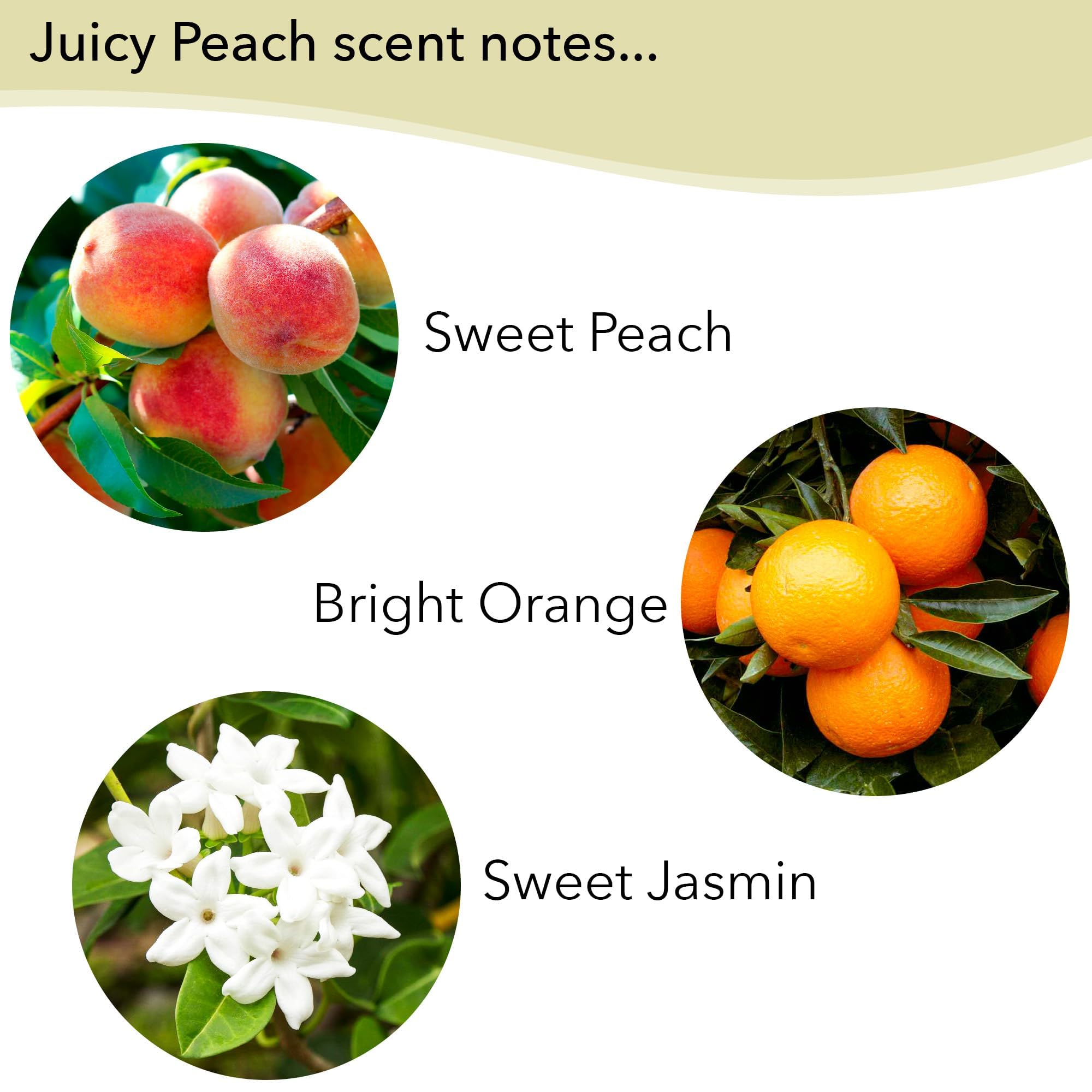 Greenwich Bay Fruity Soap Sampler – 4 Soaps with Shea Butter & Essential Oils (Juicy Peach, Passion Flower, Pomegranate, Lemon Verbena)