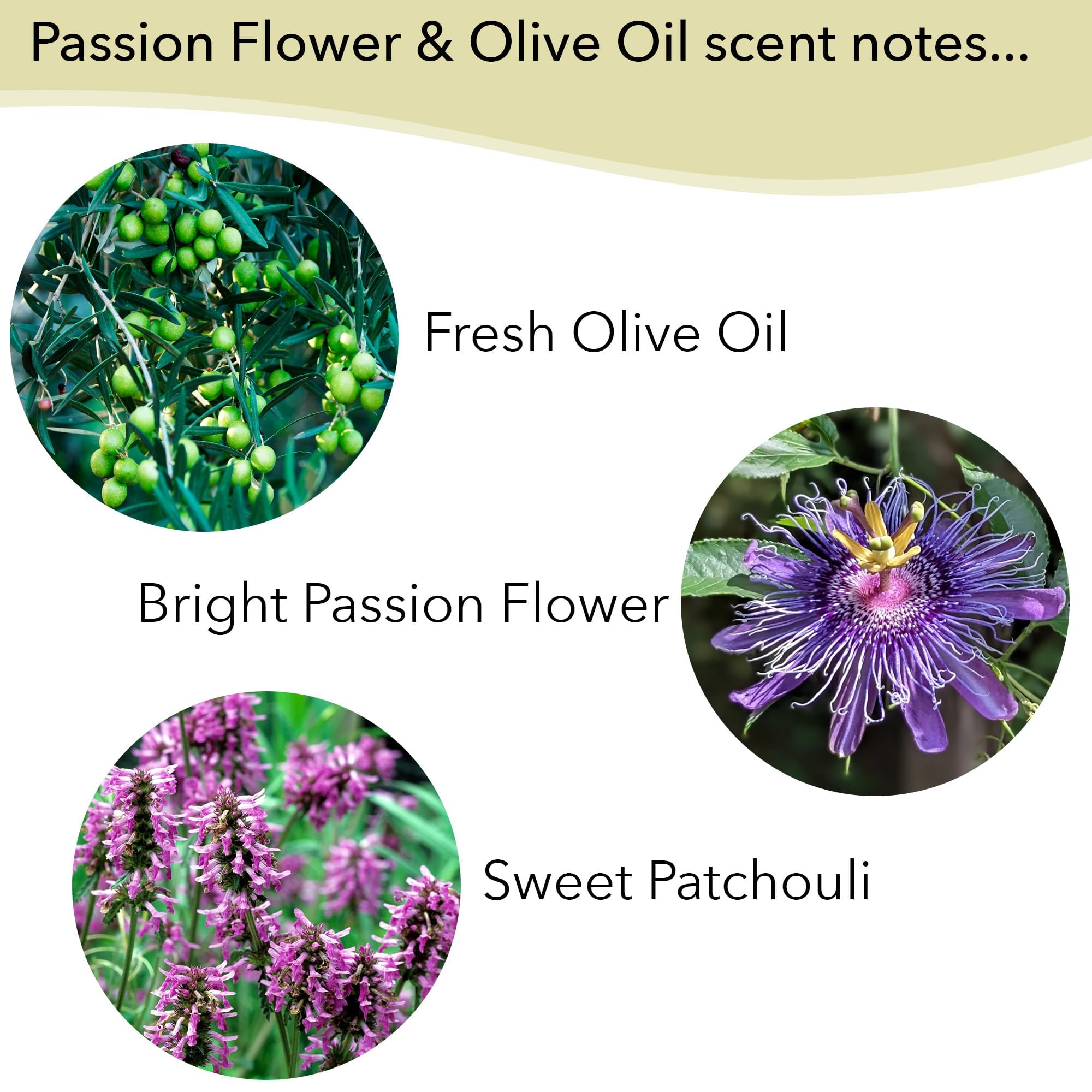 Greenwich Bay Fruity Soap Sampler – 4 Soaps with Shea Butter & Essential Oils (Juicy Peach, Passion Flower, Pomegranate, Lemon Verbena)