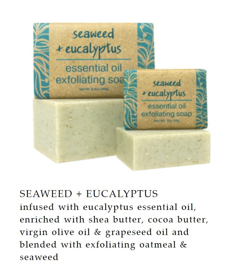Greenwich Bay Seaweed & Eucalyptus Exfoliating Bath Bar — Set of 2 (8.6 oz each)