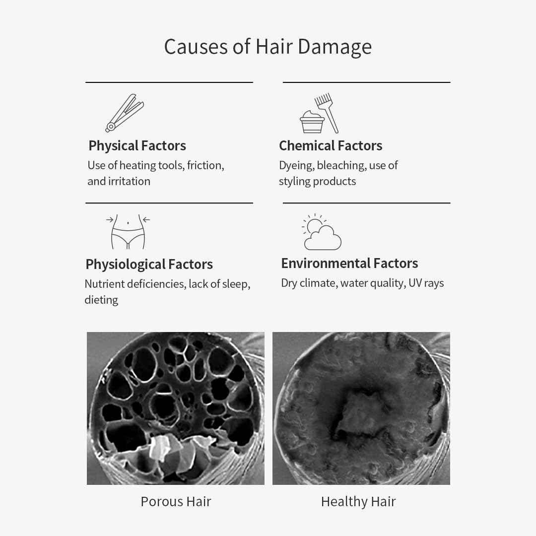 GROWUS Damage Therapy Shampoo – Salicylic Acid, Niacinamide, Dexpanthenol, Protein | Paraben & Sulfate Free | 16.9 fl oz