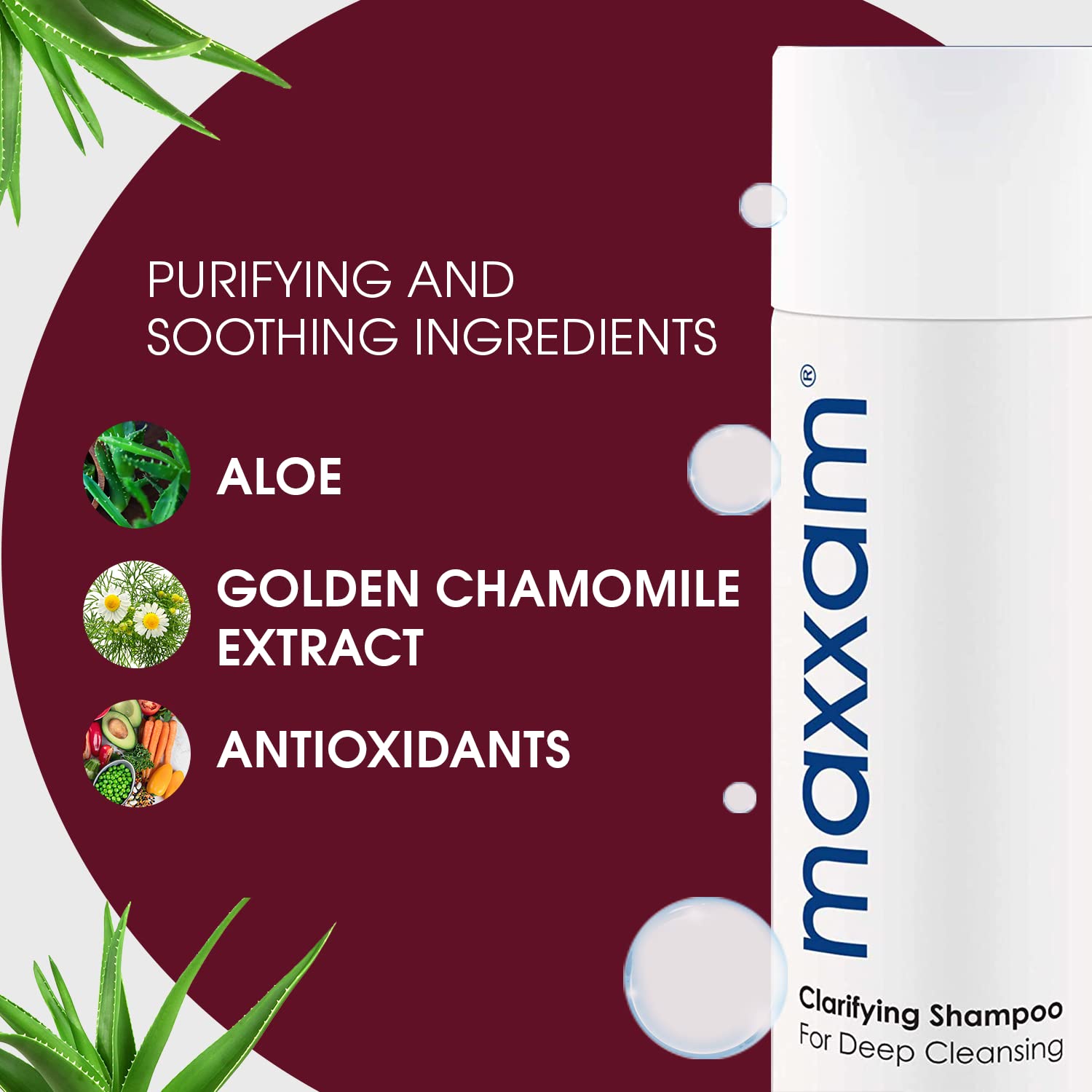 HAIR CLUB Maxxam Clarifying Shampoo for Color Treated Hair – Deep Cleansing with Oat Peptides (10 Fl Oz)