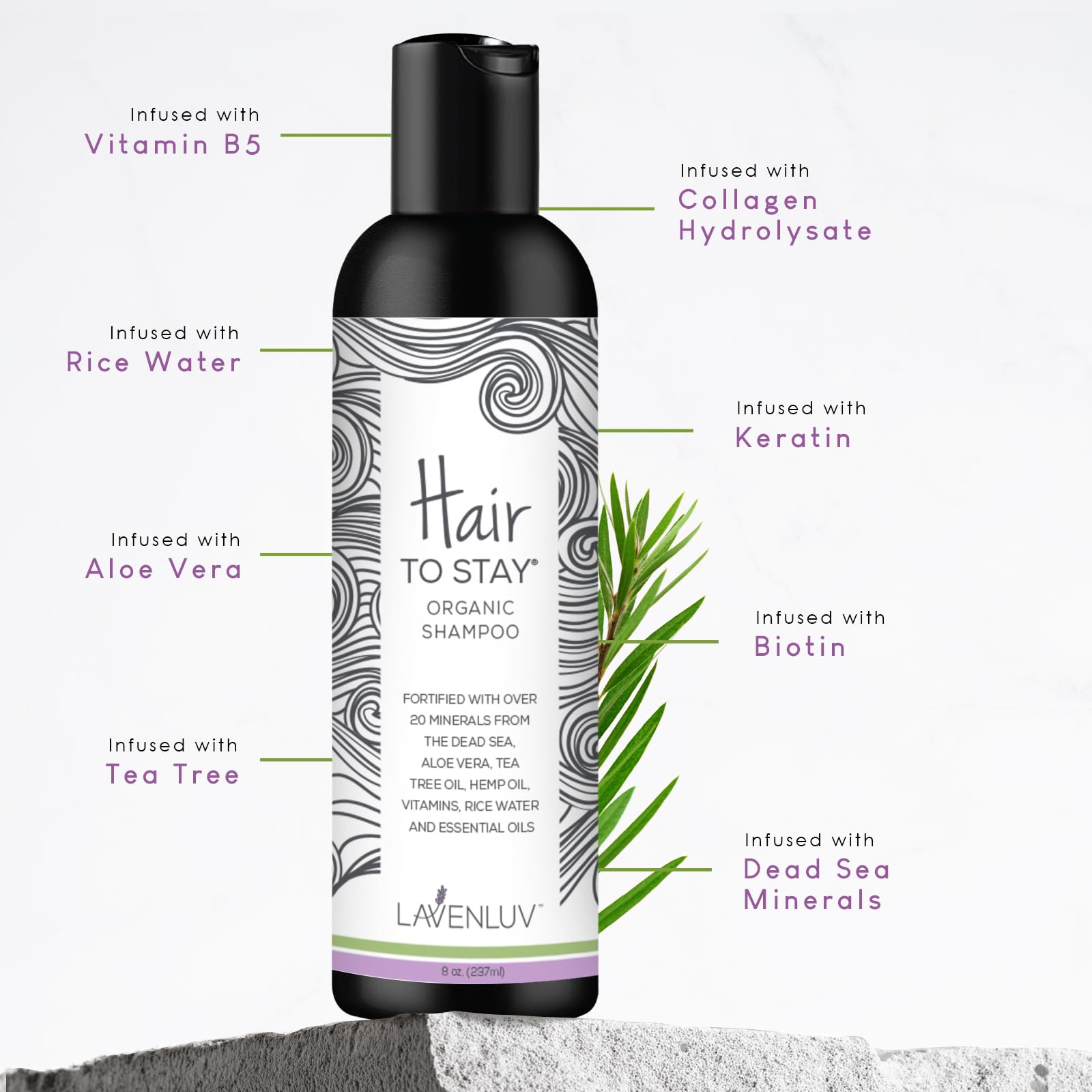 Hair to Stay Hair Growth Shampoo 16oz – Thinning Hair, Keratin & Rice Water, SLS-Free
