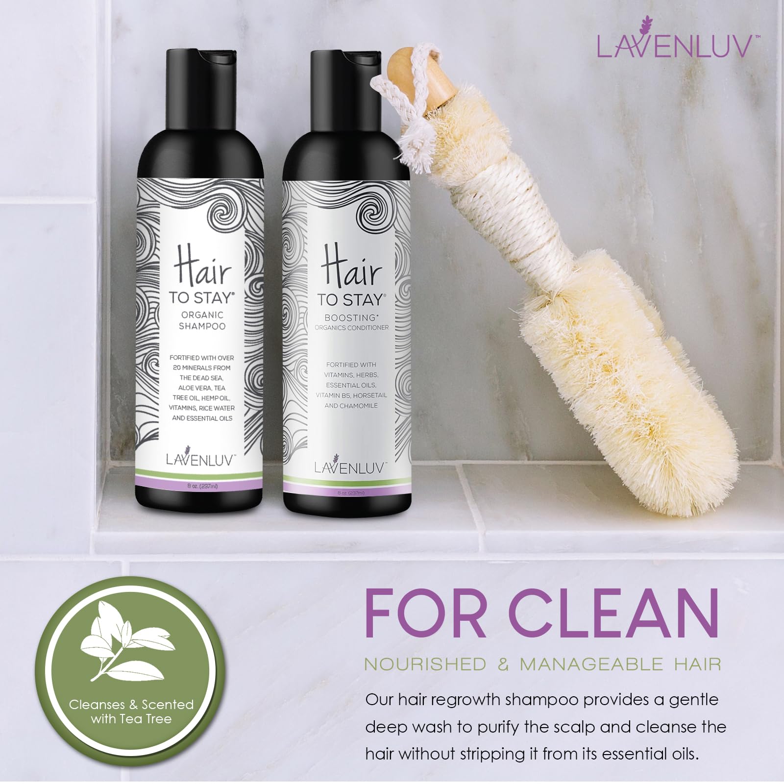 Hair to Stay Hair Growth Shampoo 16oz – Thinning Hair, Keratin & Rice Water, SLS-Free