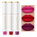 HANLADY Dark Red Pink Berry Lipstick 3pc – Long-Lasting Matte Lip Color, Vegan & Cruelty-Free (A66/44/48)