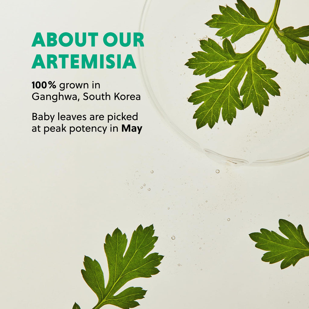 Hanyul Artemisia Soothing Gel Cream – Centella + Niacinamide | Calming Water Cream