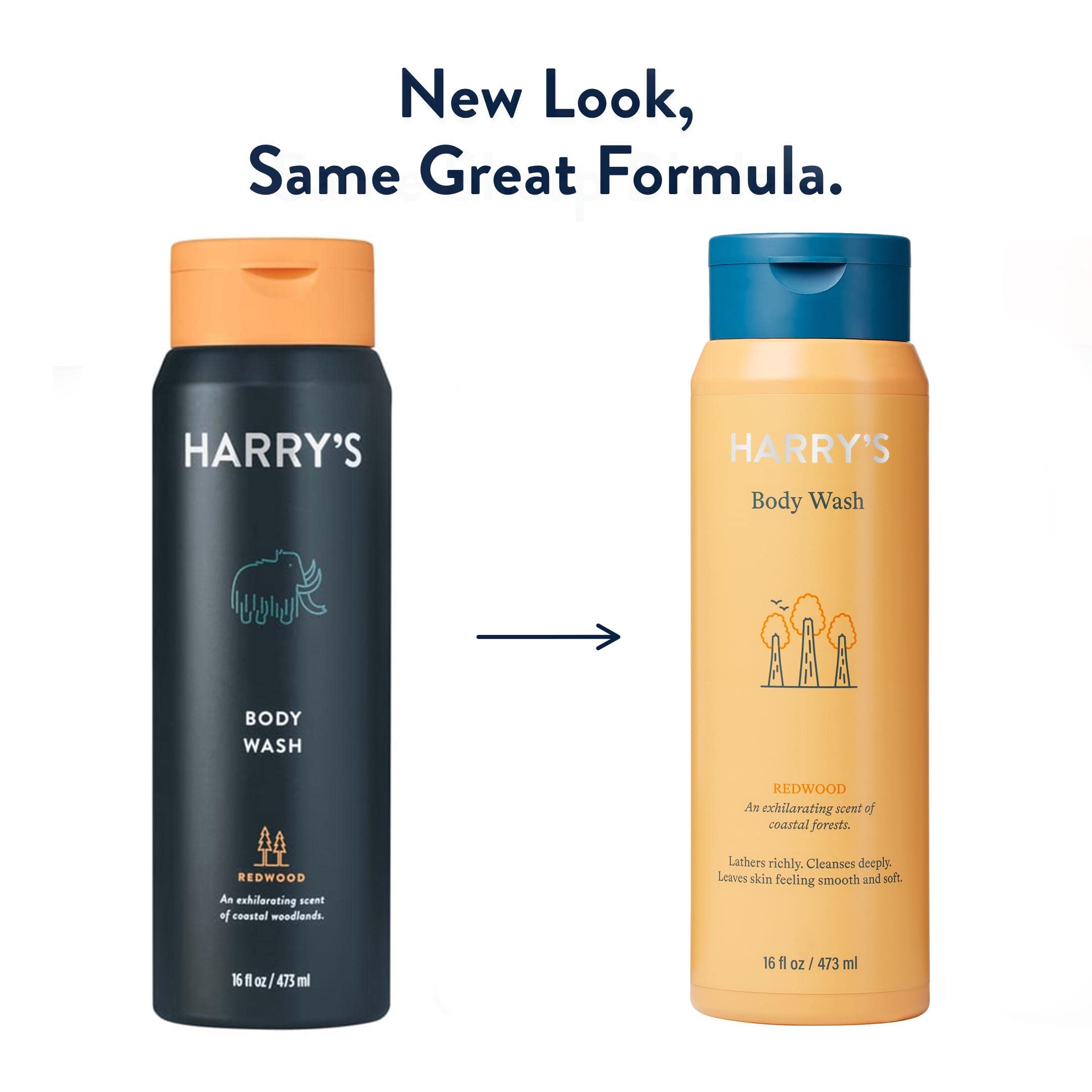 Harry's Redwood Body Wash for Men – 4 x 16 oz | Sulfate-free, Rich Lather
