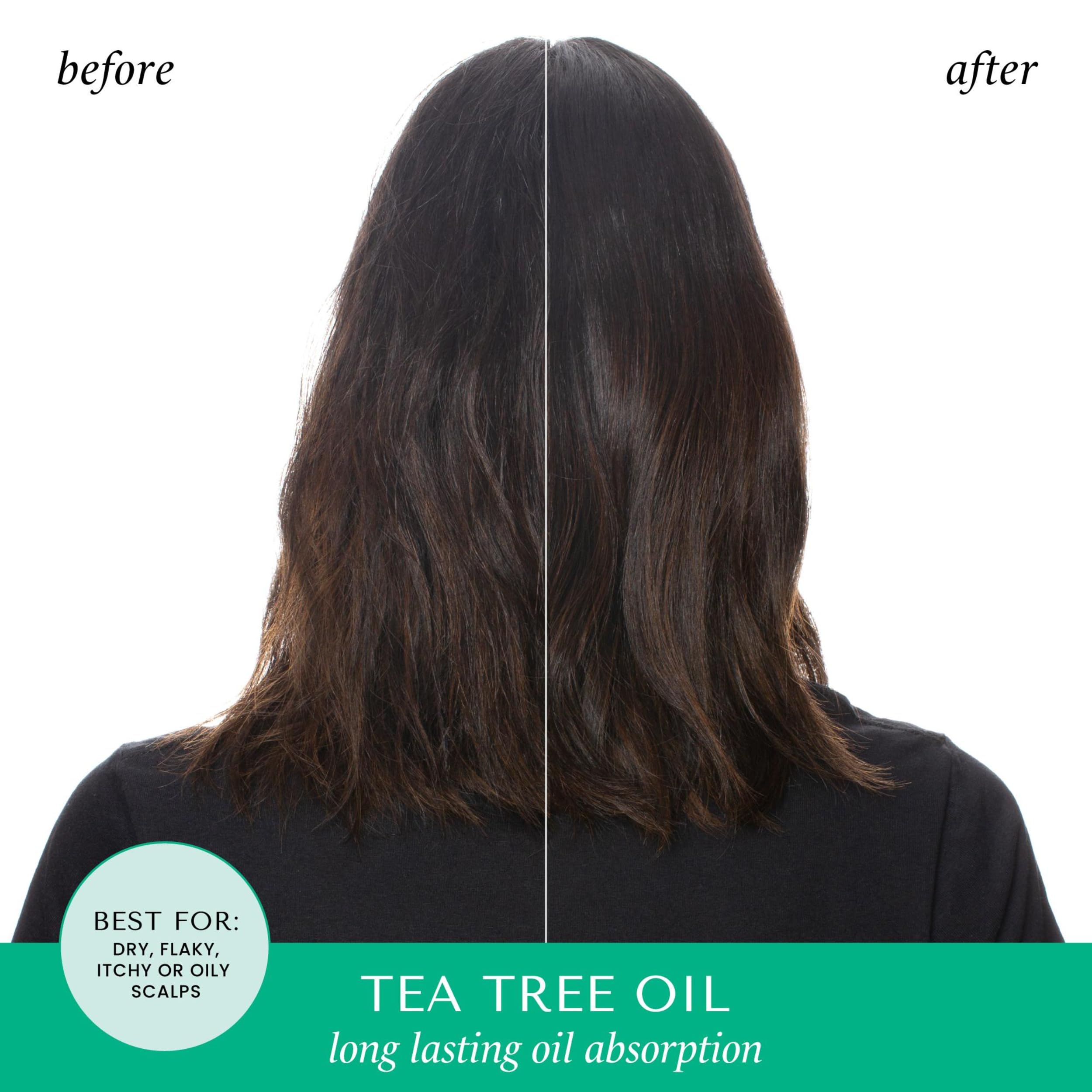 HASK Dry Shampoo Duo (4.3 oz x2) & Argan Oil Deep Conditioner Packette – Tea Tree, Color Safe