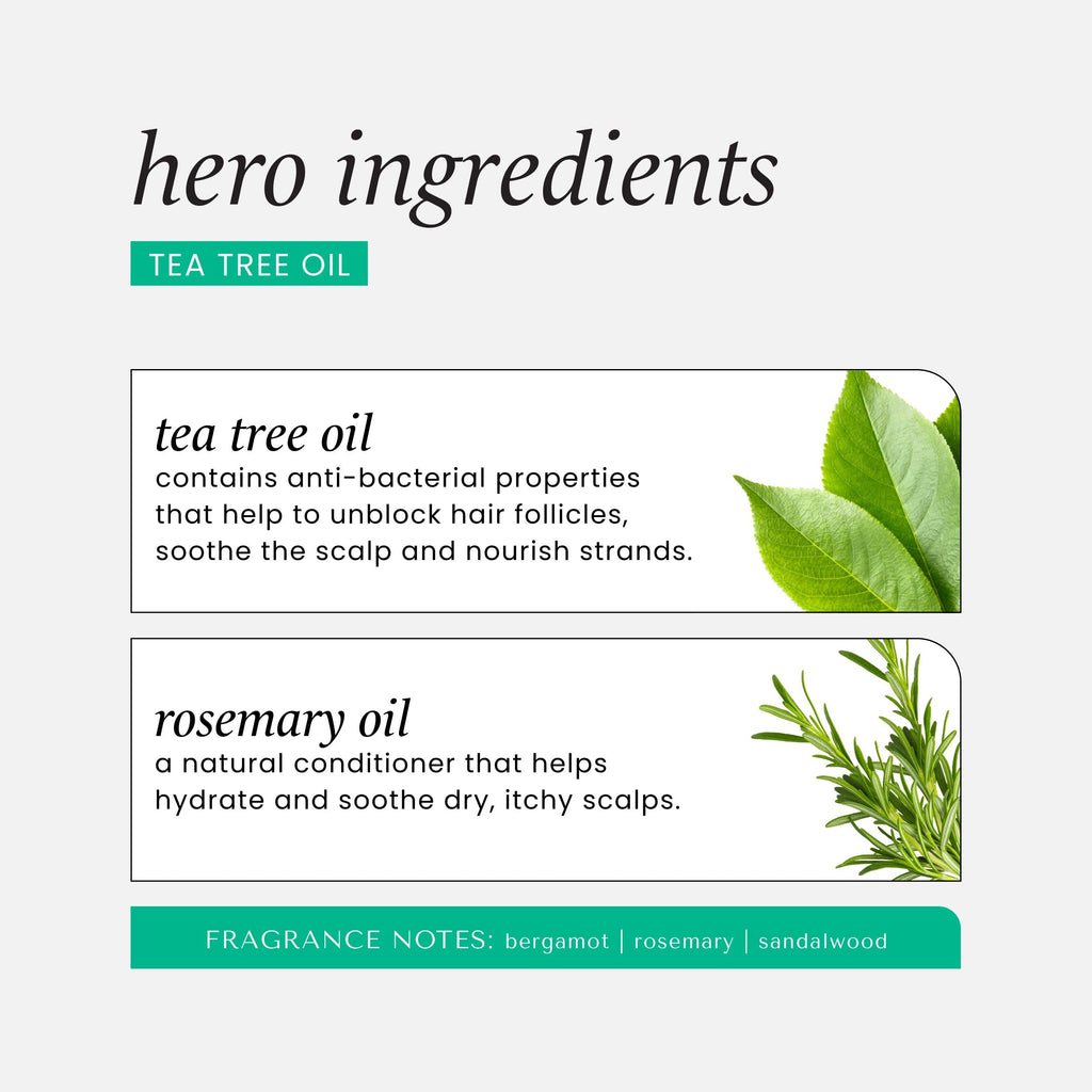HASK Dry Shampoo Duo (4.3 oz x2) & Argan Oil Deep Conditioner Packette – Tea Tree, Color Safe