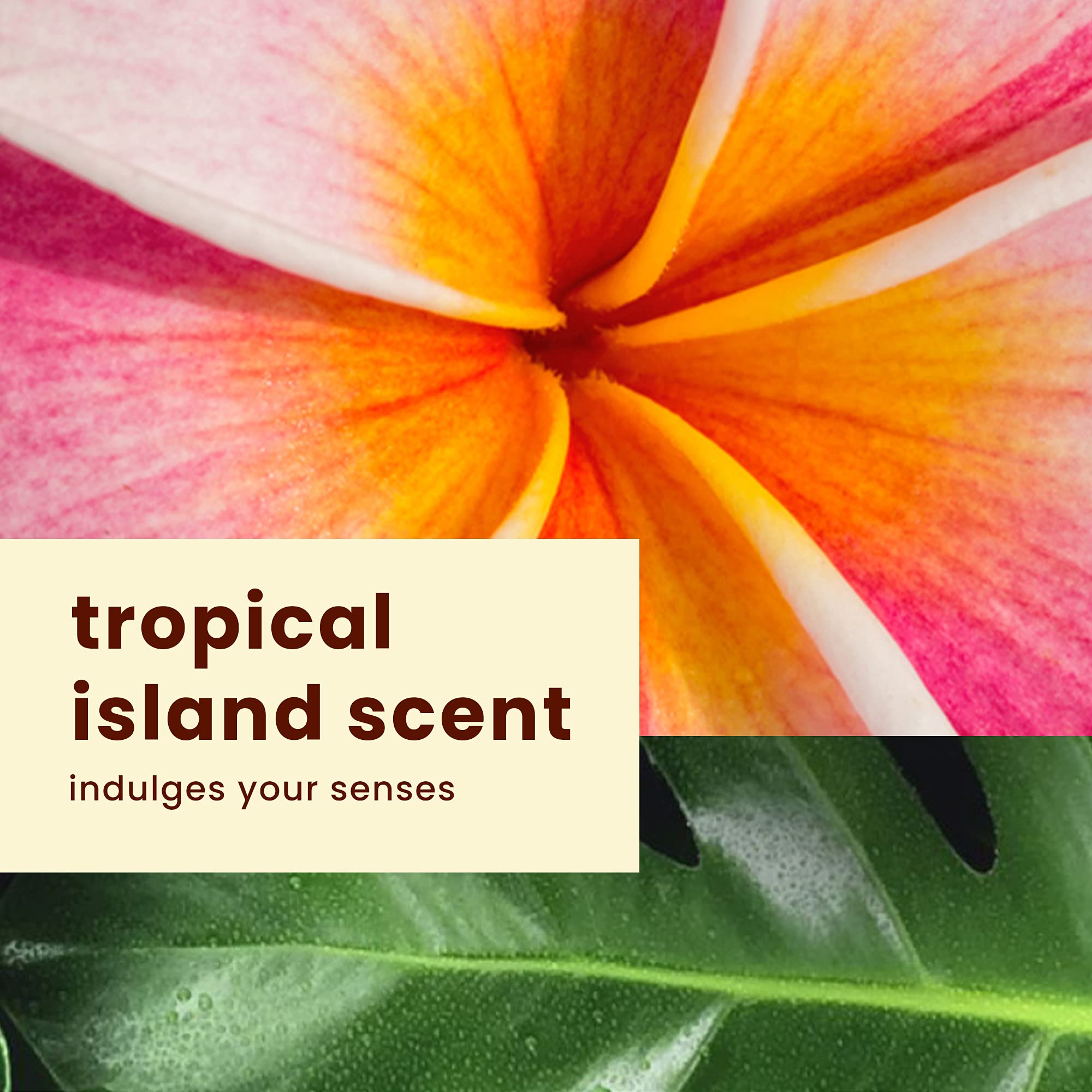 Hawaiian Tropic SPF 30 Sunscreen & After Sun Pack – 8oz Sheer Touch + 6oz Silk Hydration