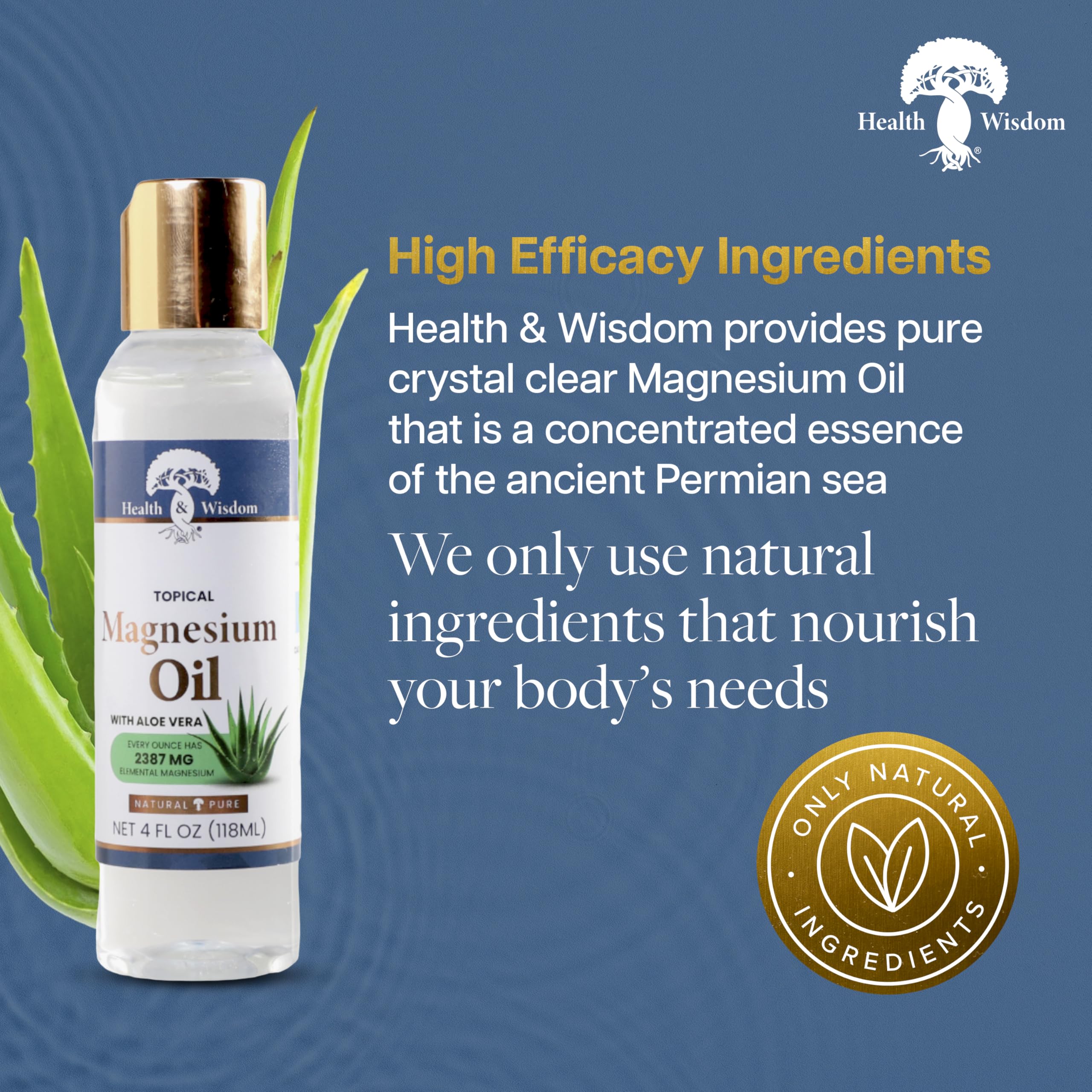 Health and Wisdom Pure Magnesium Oil with Aloe Vera - Topical Skin Moisturizer and Gentle Muscle Support - Enhanced Absorption - 4 fl oz