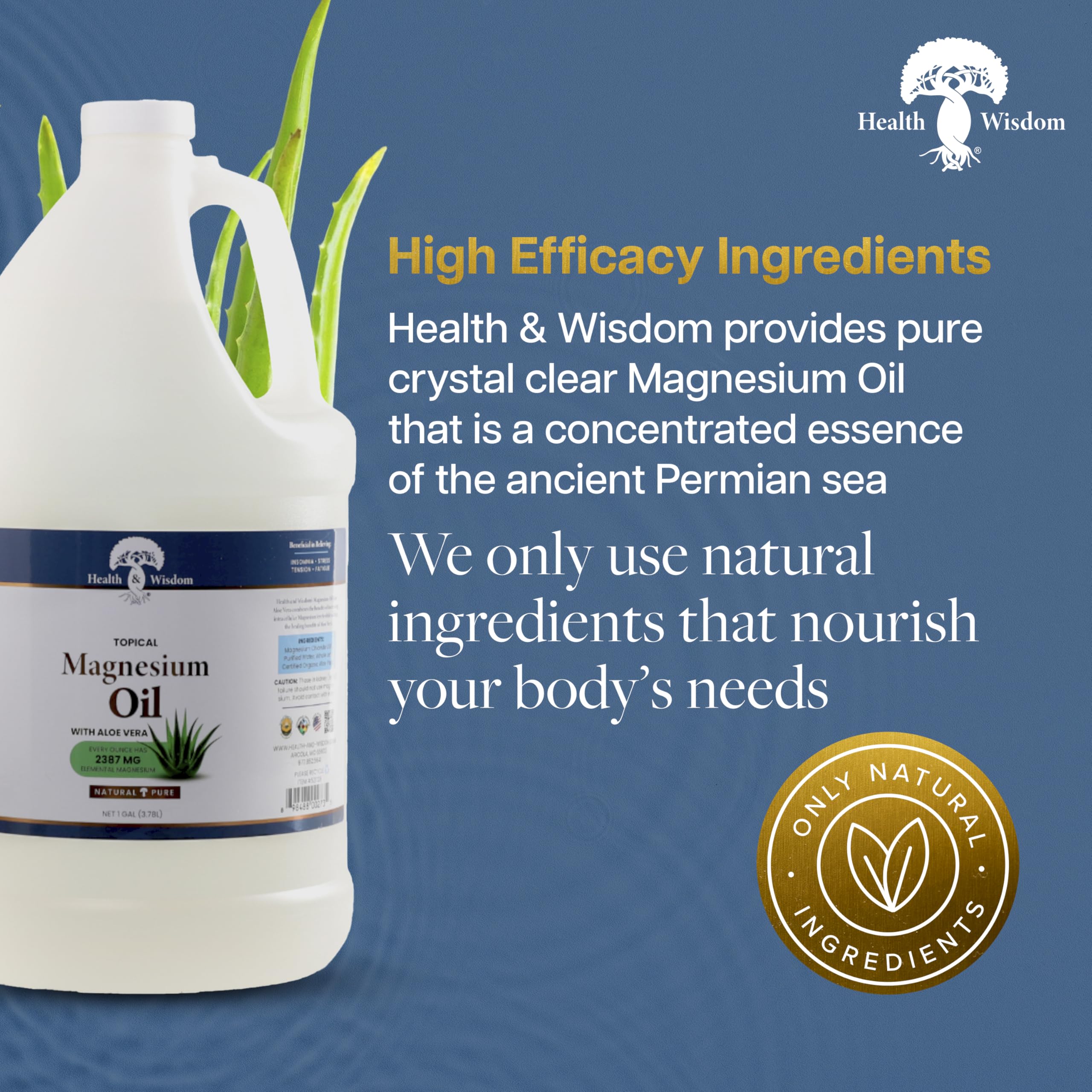 Health & Wisdom Pure Magnesium Oil with Aloe Vera – Topical Muscle & Joint Relief & Skin Moisturizer (128 fl oz)