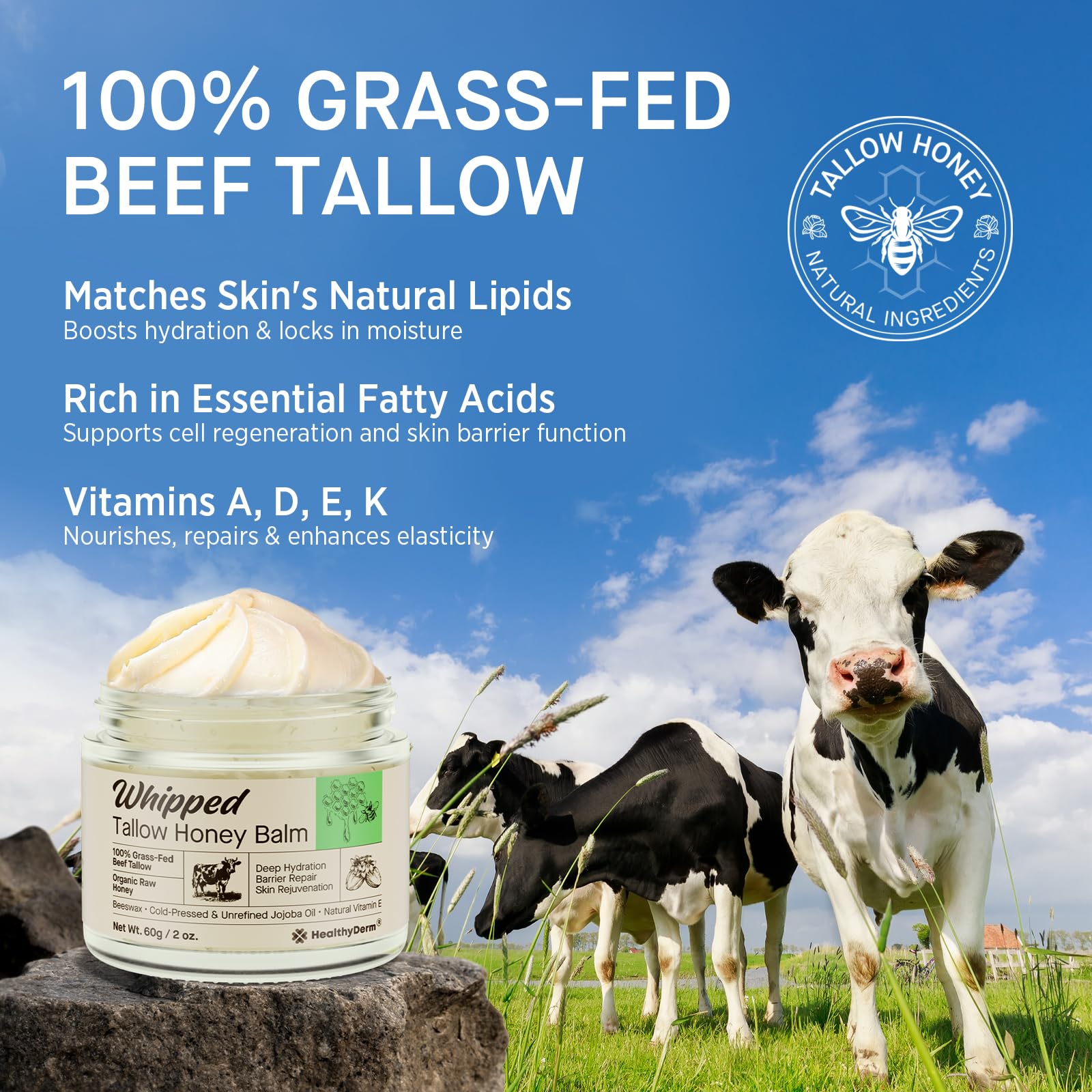 HealthyDerm Beef Tallow Honey Balm – 100% Grass-Fed Whipped Moisturizer (2oz)
