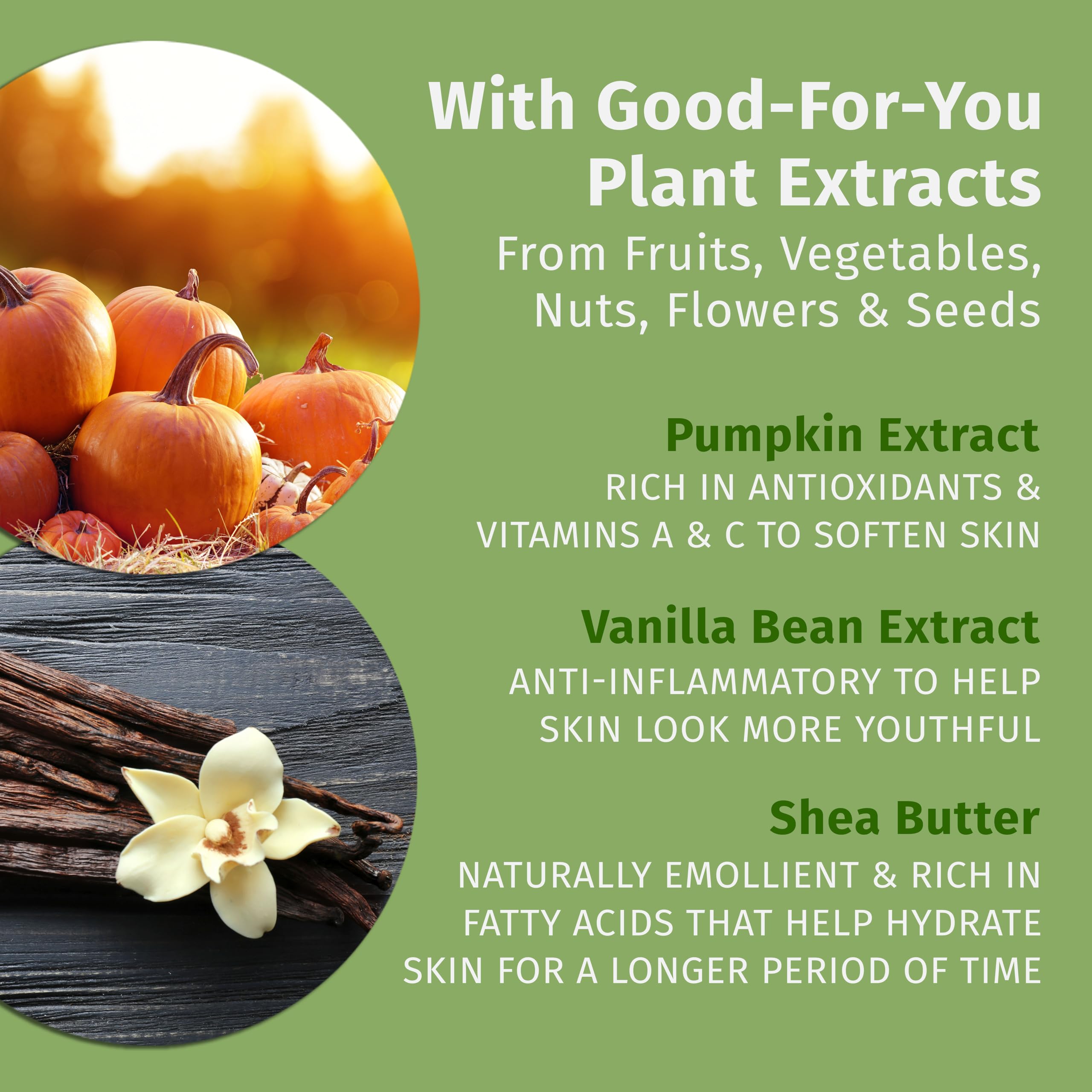 Hempz Limited Edition Pumpkin Spice & Vanilla Chai Body Lotion 17oz – Hydrating Fall Scent