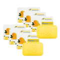 HERBOGANIC Mango Butter Herbal Soap | Pack of 6 x 5oz Bars | Nourishing & Soothing