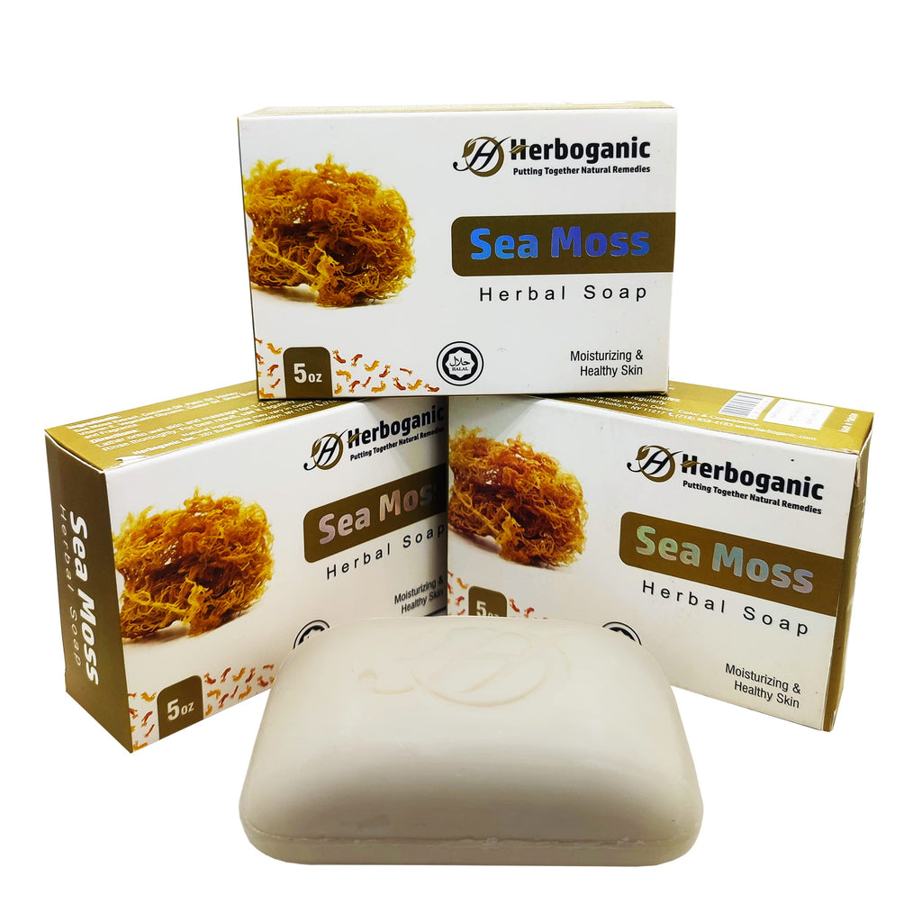HERBOGANIC Sea Moss Herbal Soap – Pack of 3 x 5oz Bars | Hydrating Face & Body