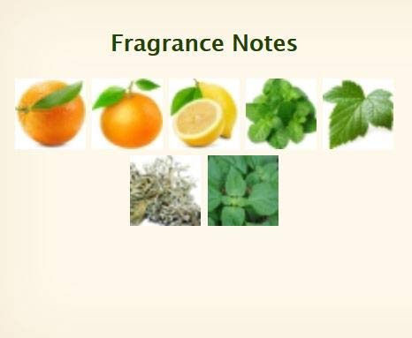 Hermès Eau d'Orange Verte Bath Soap Set – 5 Travel‑Size Soaps (1.7 oz each), Individually Wrapped