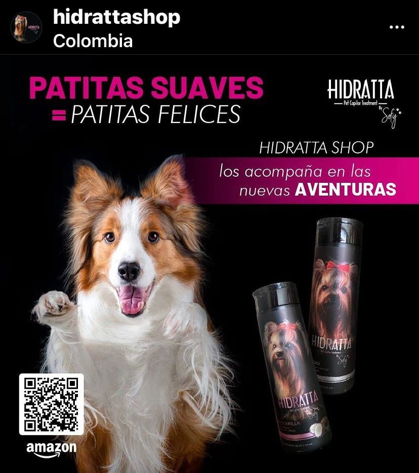 Hidratta Premium Hydrating Shampoo + Mask Kit for Dogs & Cats – Henna & Natural Oils (12.5 oz / 370 ml)