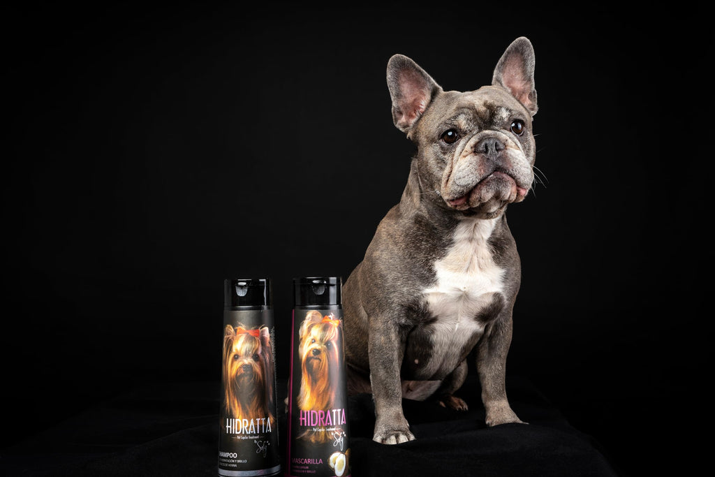 Hidratta Premium Hydrating Shampoo + Mask Kit for Dogs & Cats – Henna & Natural Oils (12.5 oz / 370 ml)