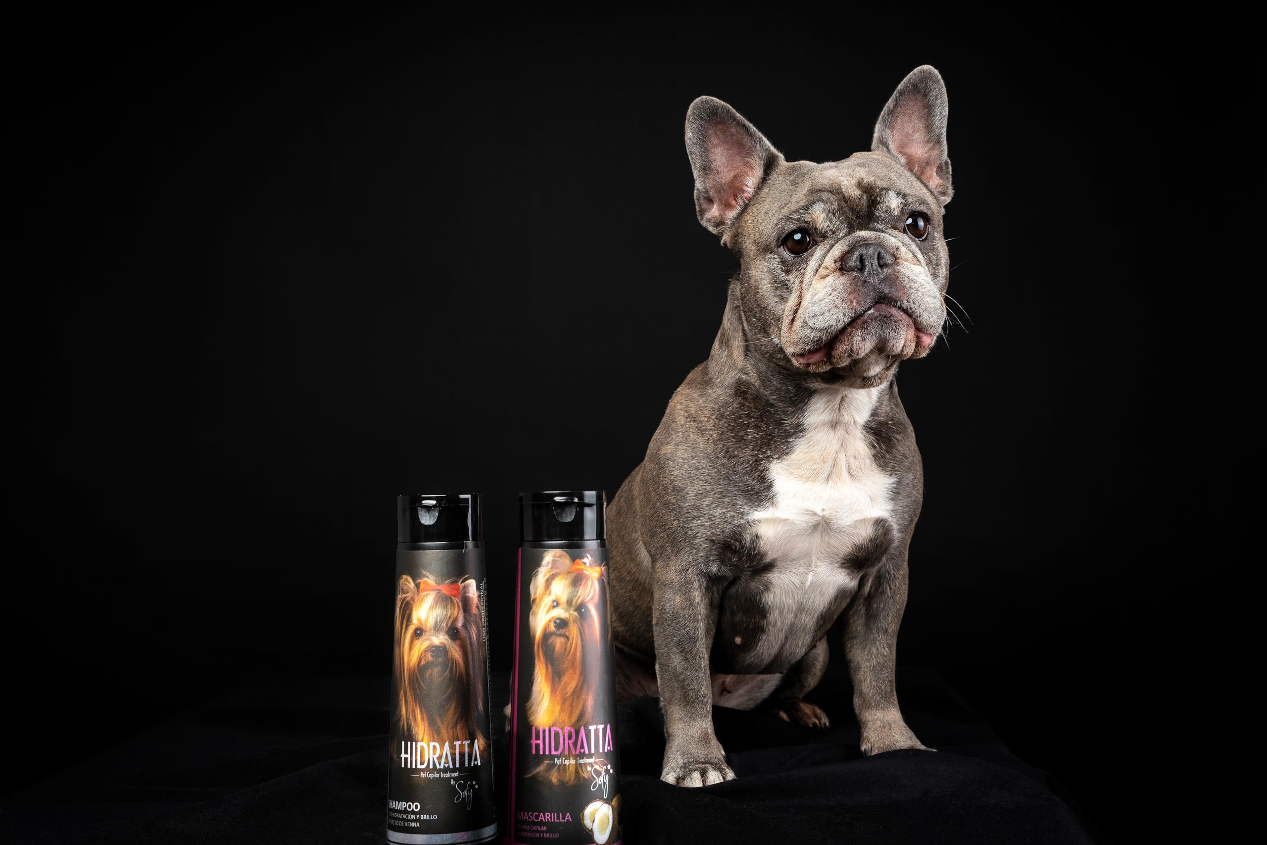 Hidratta Premium Hydrating Shampoo + Mask Kit for Dogs & Cats – Henna & Natural Oils (12.5 oz / 370 ml)