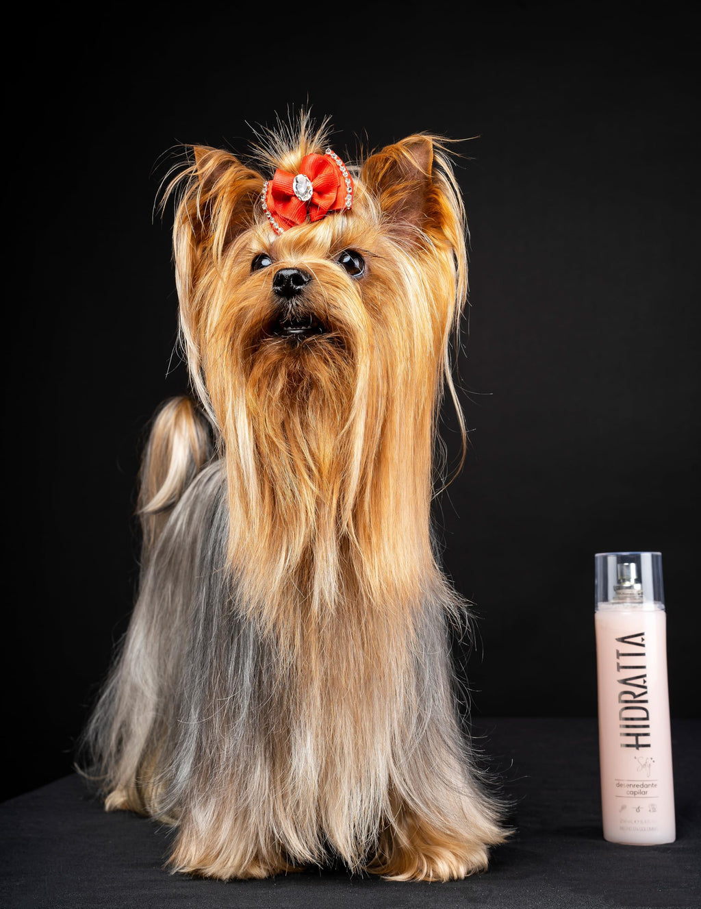 Hidratta No-Tangle Detangler Spray for Dogs & Cats – Henna & Natural Oils, 8.4 oz (250 ml)