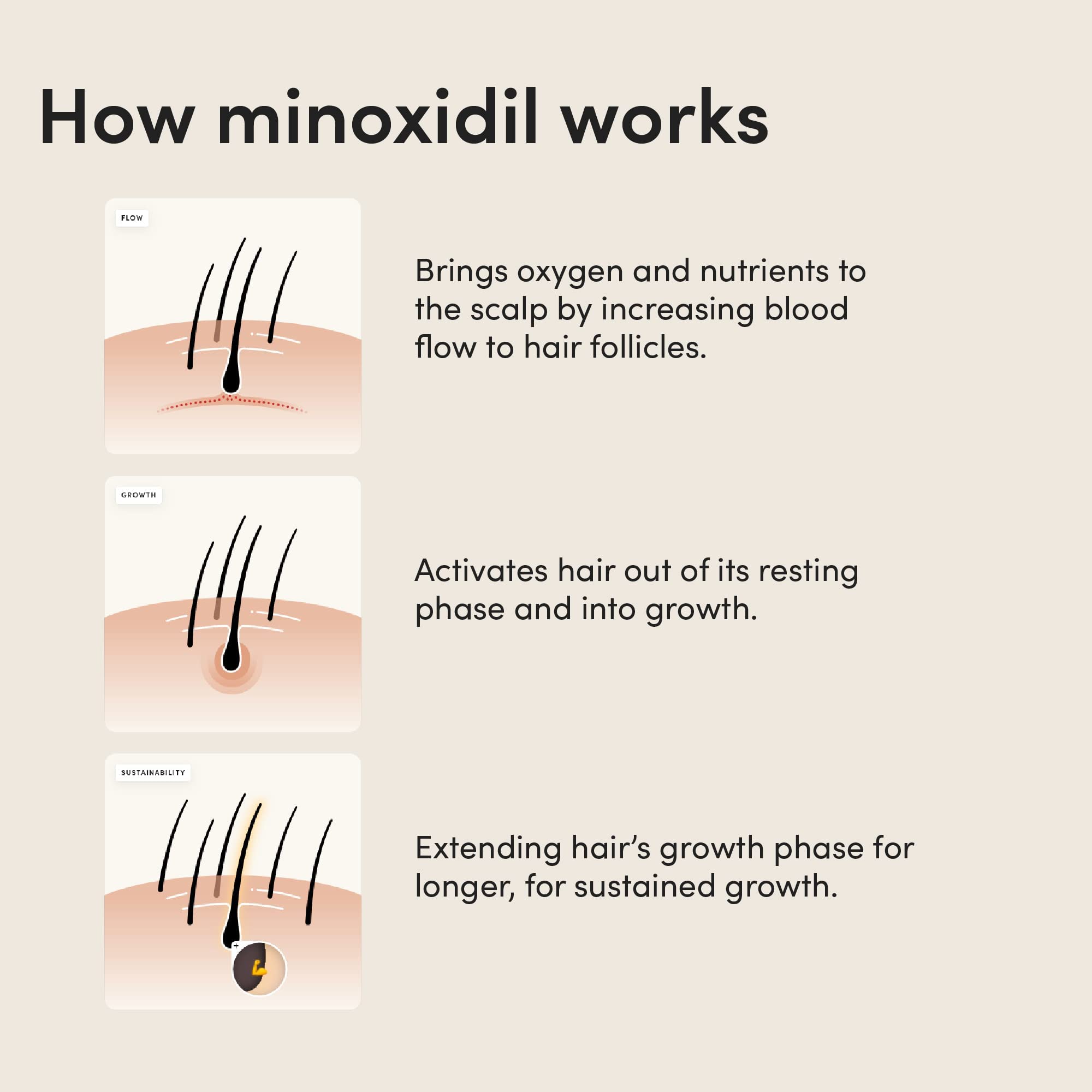 hims Hair Regrowth Treatment - Minoxidil 5% Topical Solution for Men - Extra Strength - Unscented - 3 Pack