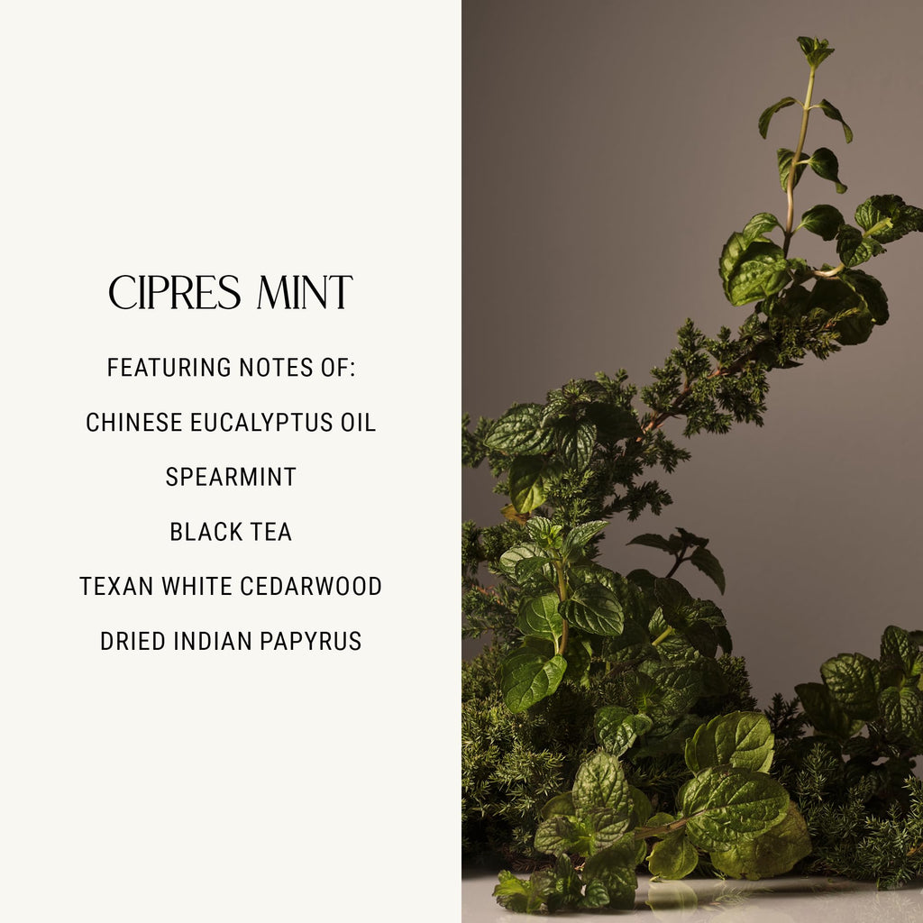 Homecourt Hand Cream – Non-Greasy Hydration for Soft Hands (Cipres Mint, 12 oz) | Dermatologist Tested, Clean Formula