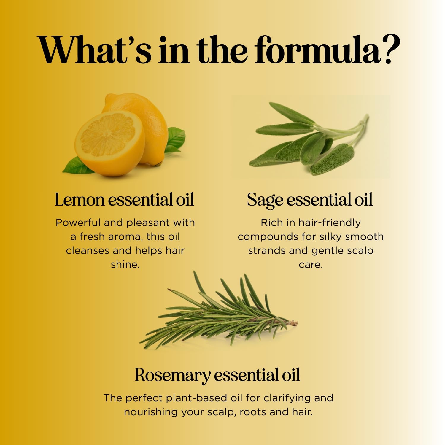 HONEYDEW Lemon Sage Shampoo for Oily Hair — Sulfate-Free Clarifying Shampoo with Lemon, Sage & Tea Tree