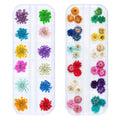 iFancer Natural Dried Flowers for Nail Art & Resin Crafts – 3D Pressed Decor
