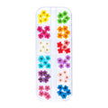 iFancer Flower Nail Charms – Natural Dried Mixed 60 pcs, 12 Colors for Nail Art & Resin DIY