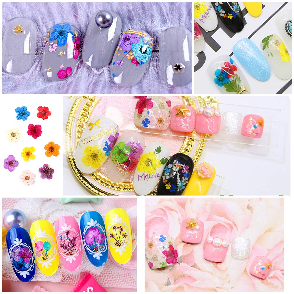 iFancer Flower Nail Charms – Natural Dried Mixed 60 pcs, 12 Colors for Nail Art & Resin DIY