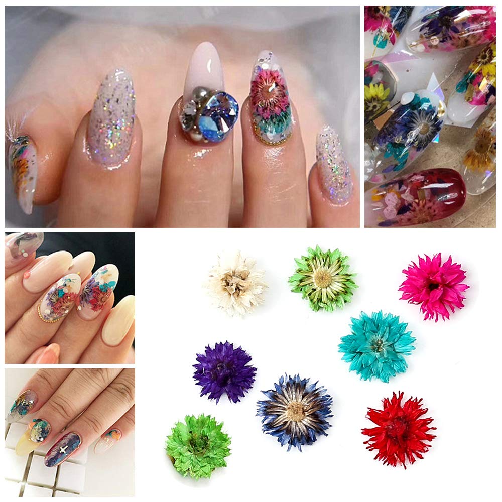 iFancer Natural Dried Flowers for Nail Art & Resin Crafts – 3D Pressed Decor