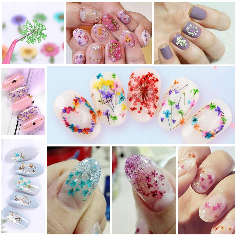 iFancer Natural Dried Flowers for Nail Art & Resin Crafts – 3D Pressed Decor