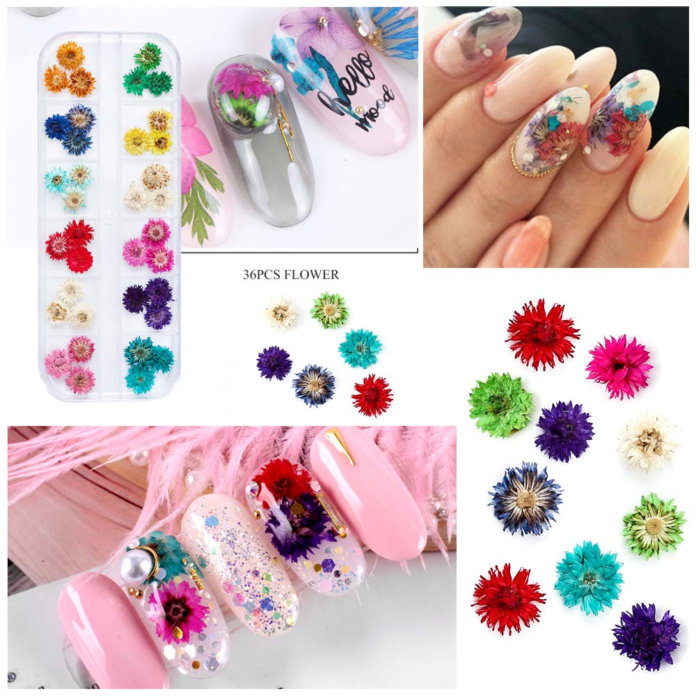 iFancer Natural Dried Flowers for Nail Art & Resin Crafts – 3D Pressed Decor