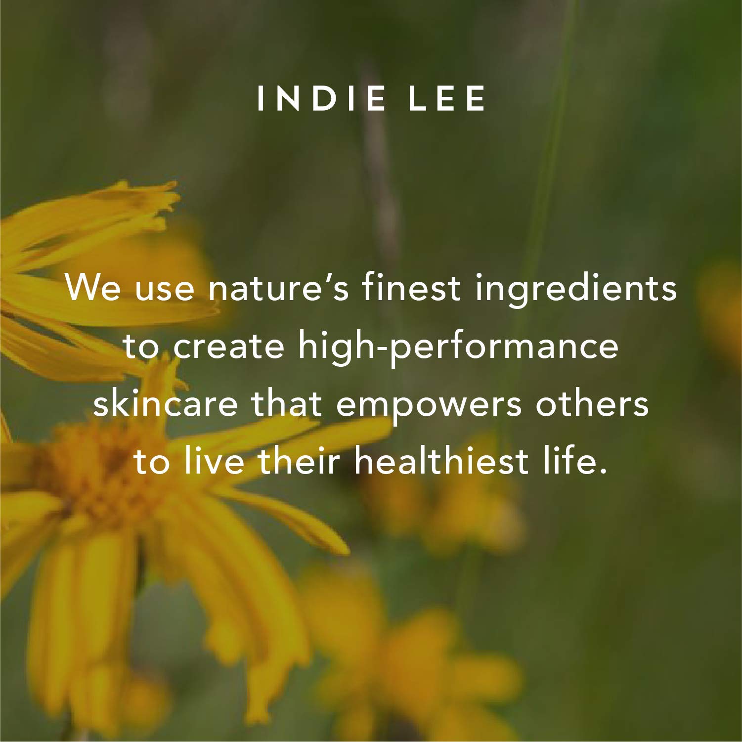Indie Lee Daily Vitamin Infusion — Balancing Face Treatment Oil with Rosehip & Squalane (1oz)