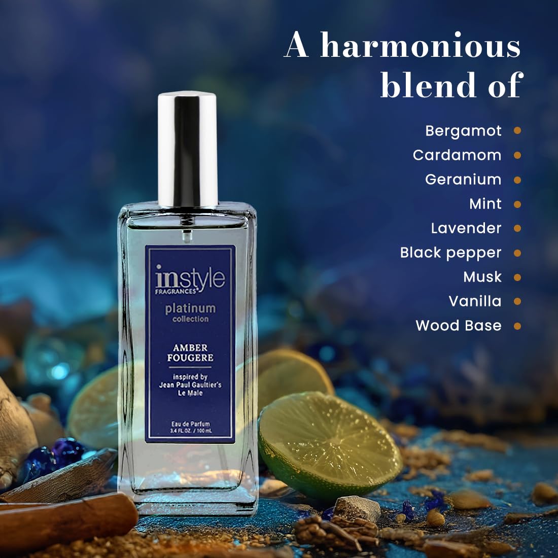 InStyle Fragrances Platinum Collection Amber Fougere — Inspired by Le Male, Vegan & Cruelty-Free, 3.4 oz