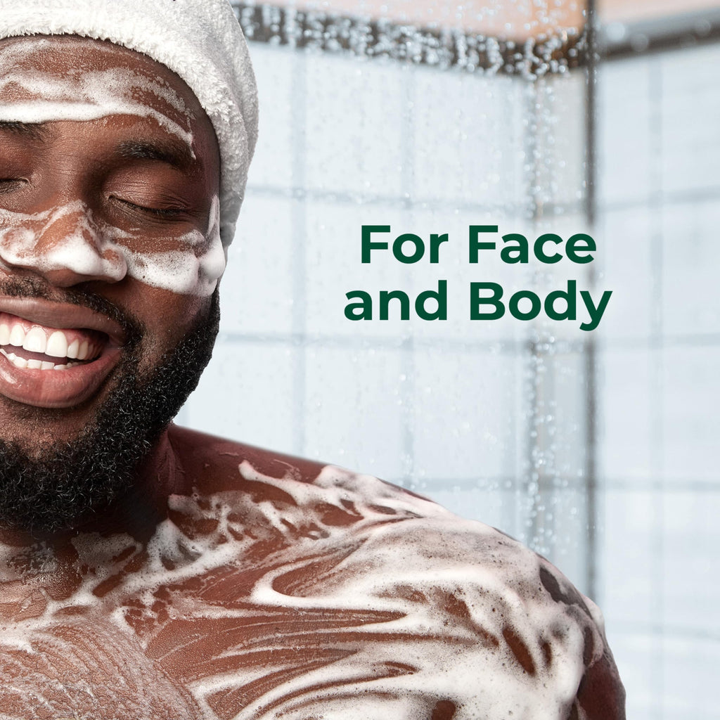 Irish Spring Men's Body Wash Charcoal Refresh — 4-Pack, 20 oz Bottles
