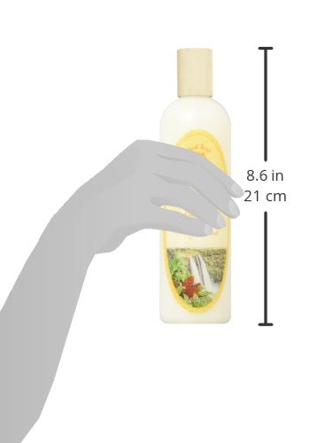 Island Soap & Candle Works Awapuhi Mango Coconut Shampoo – 12 oz Moisturizing Hawaiian Shampoo