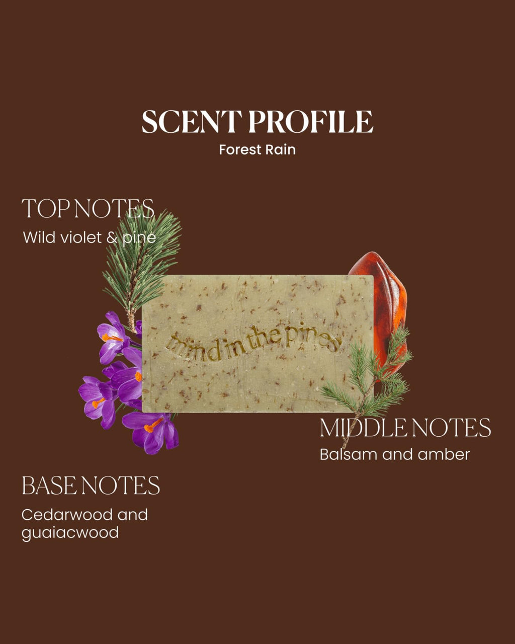 Jackfir Bushwhacker Bar Soap (2-Pack) – Organic, EWG Verified, Exfoliating Wheat Bran & Hydrating Coconut & Olive Oil
