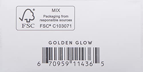 jane iredale Amazing Base Refillable Brush – Golden Glow, 0.18 oz (SPF 20/15)