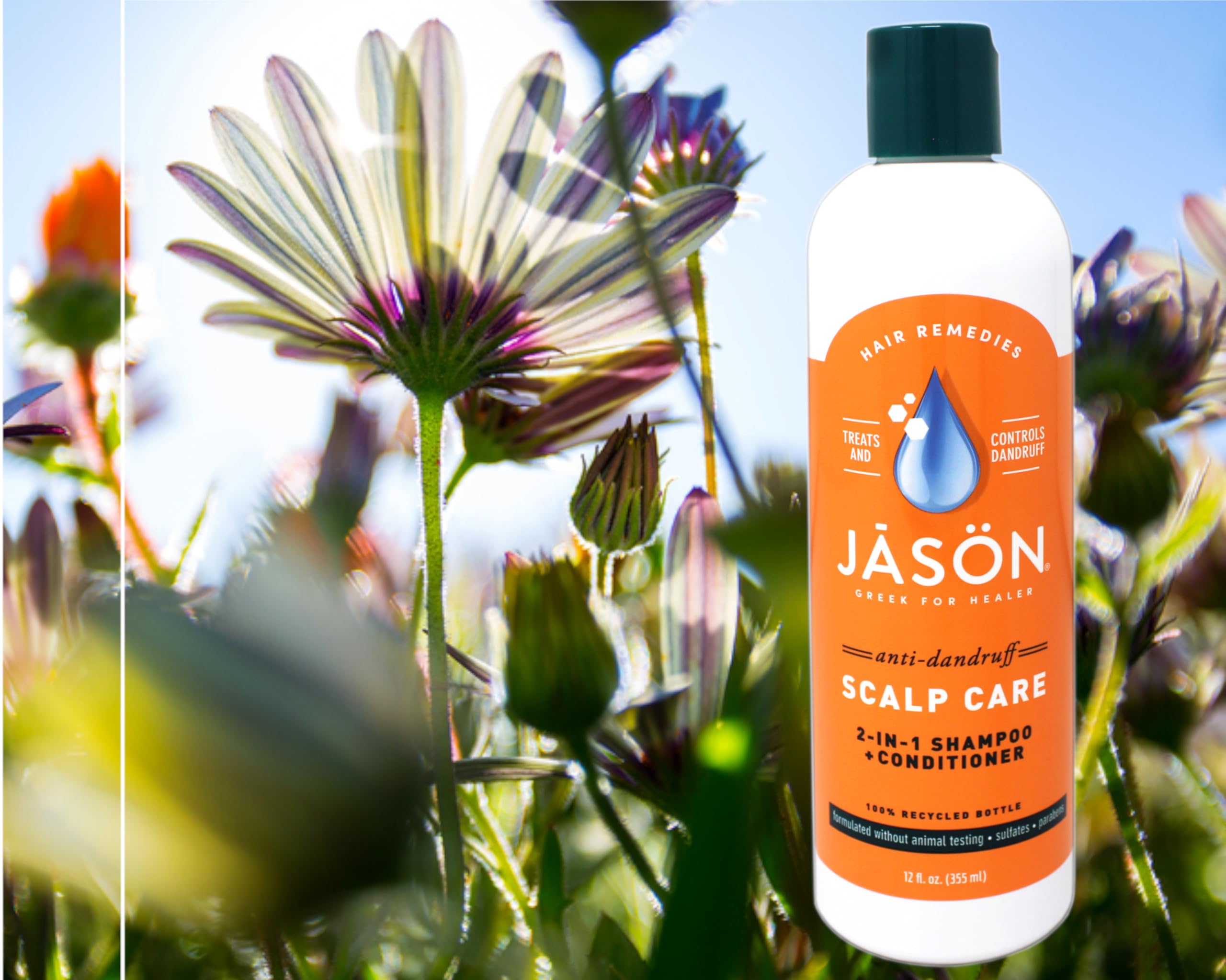 JASON Dandruff Relief 2-in-1 Shampoo & Conditioner – 12 oz