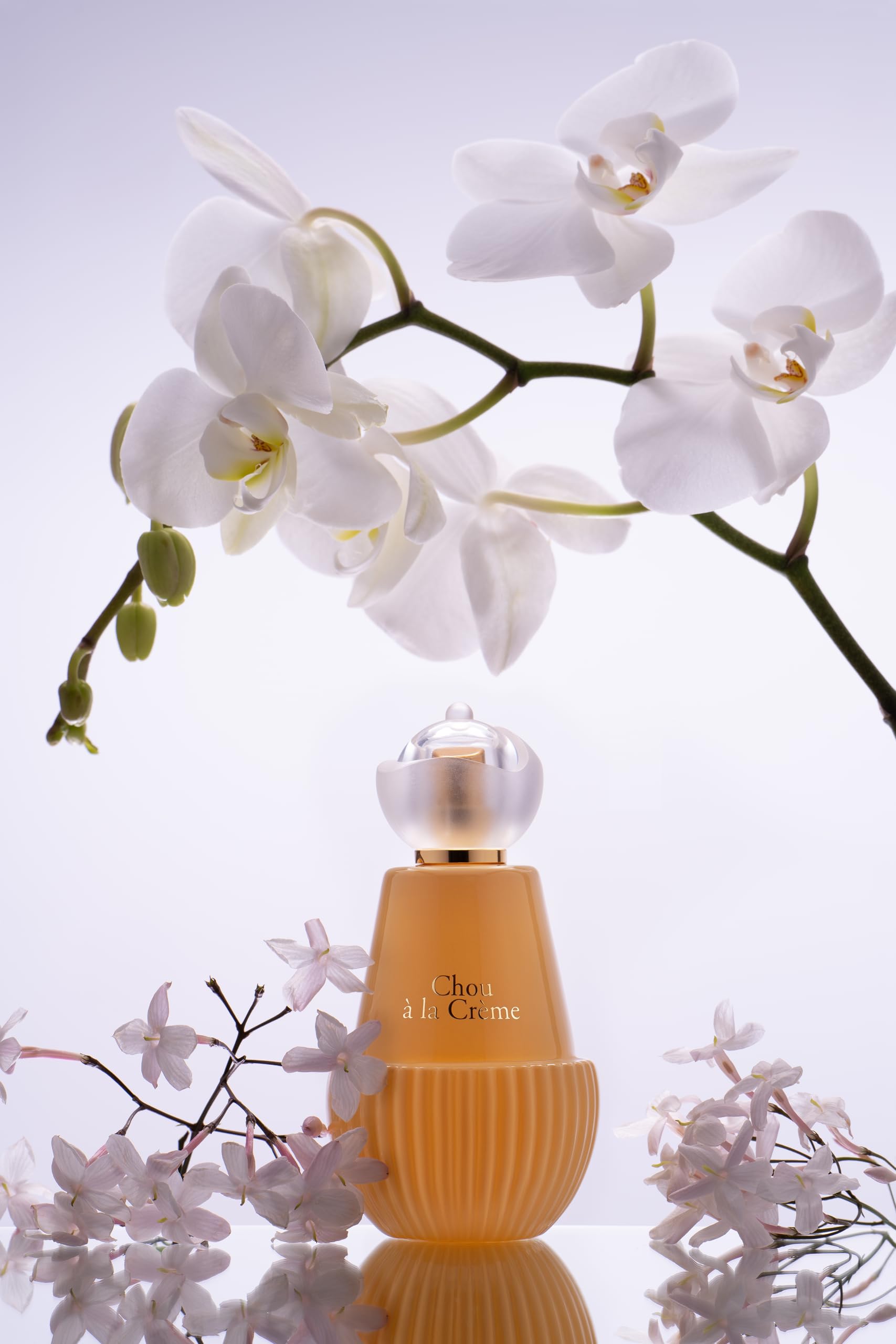 Jeanne Arthes Tea Time Pris – Chou à la Crème Vanilla Perfume for Women, Made in Grasse, 100 ml