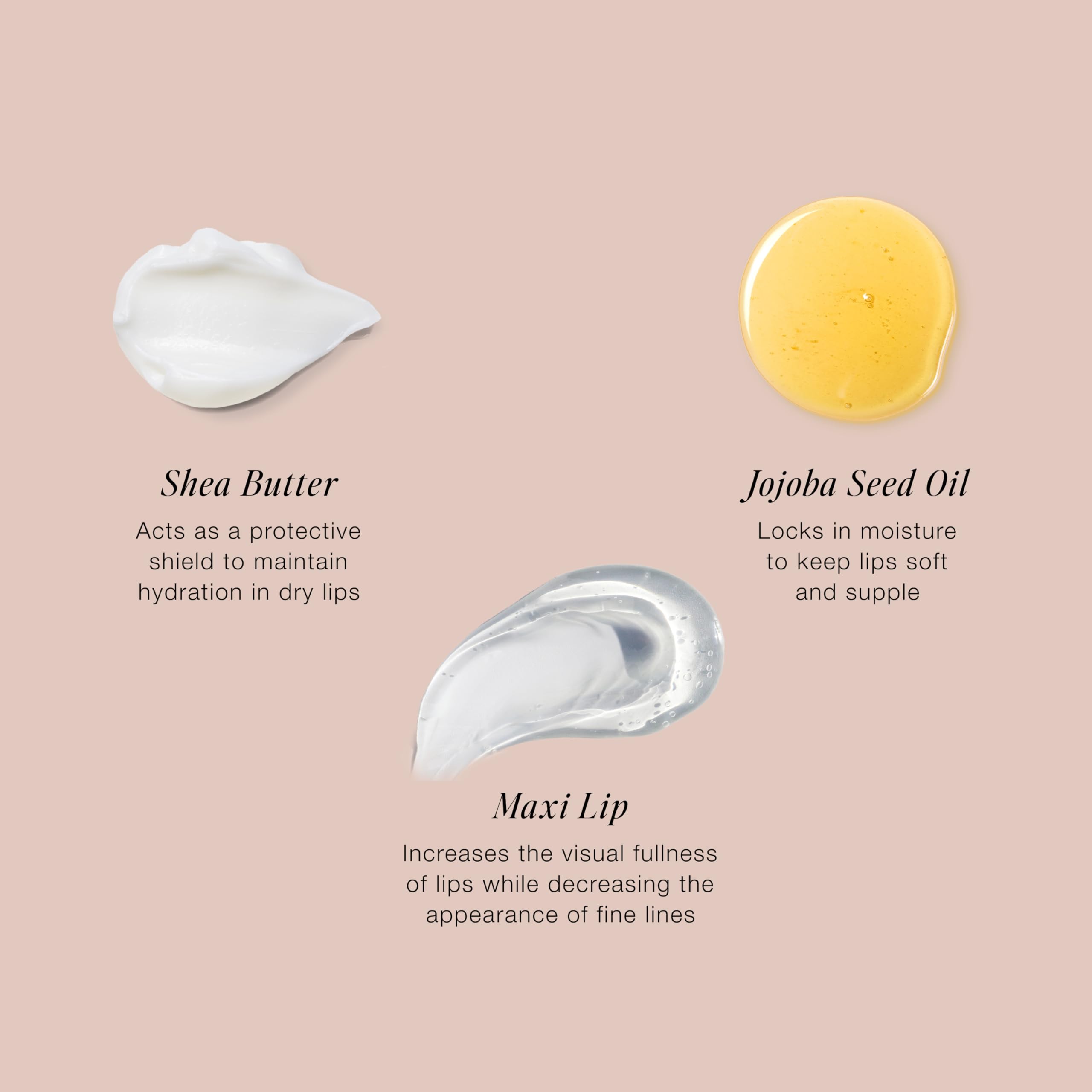 Jouer Essential Lip Enhancer Shine Balm – Rose Tint, Jojoba Oil, Maxi Lip