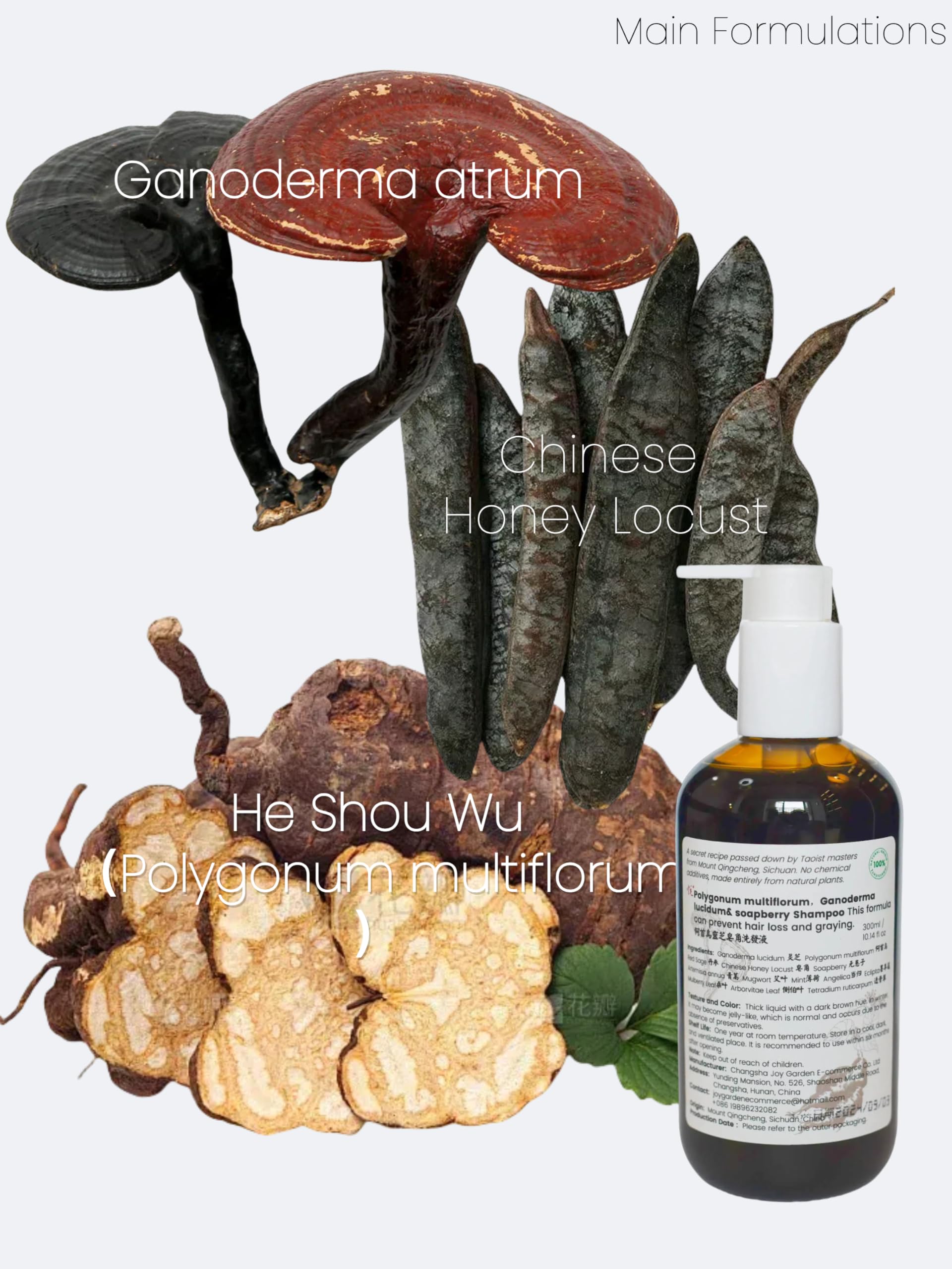 Joy Garden He Shou Wu Shampoo – Herbal Taoist Formula with Reishi & Soapberry | Sulfate-Free