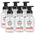 J.R. Watkins Foaming Hand Soap Pump – Grapefruit, Alcohol-Free, Cruelty-Free, USA Made, 9 fl oz (6 Pack)