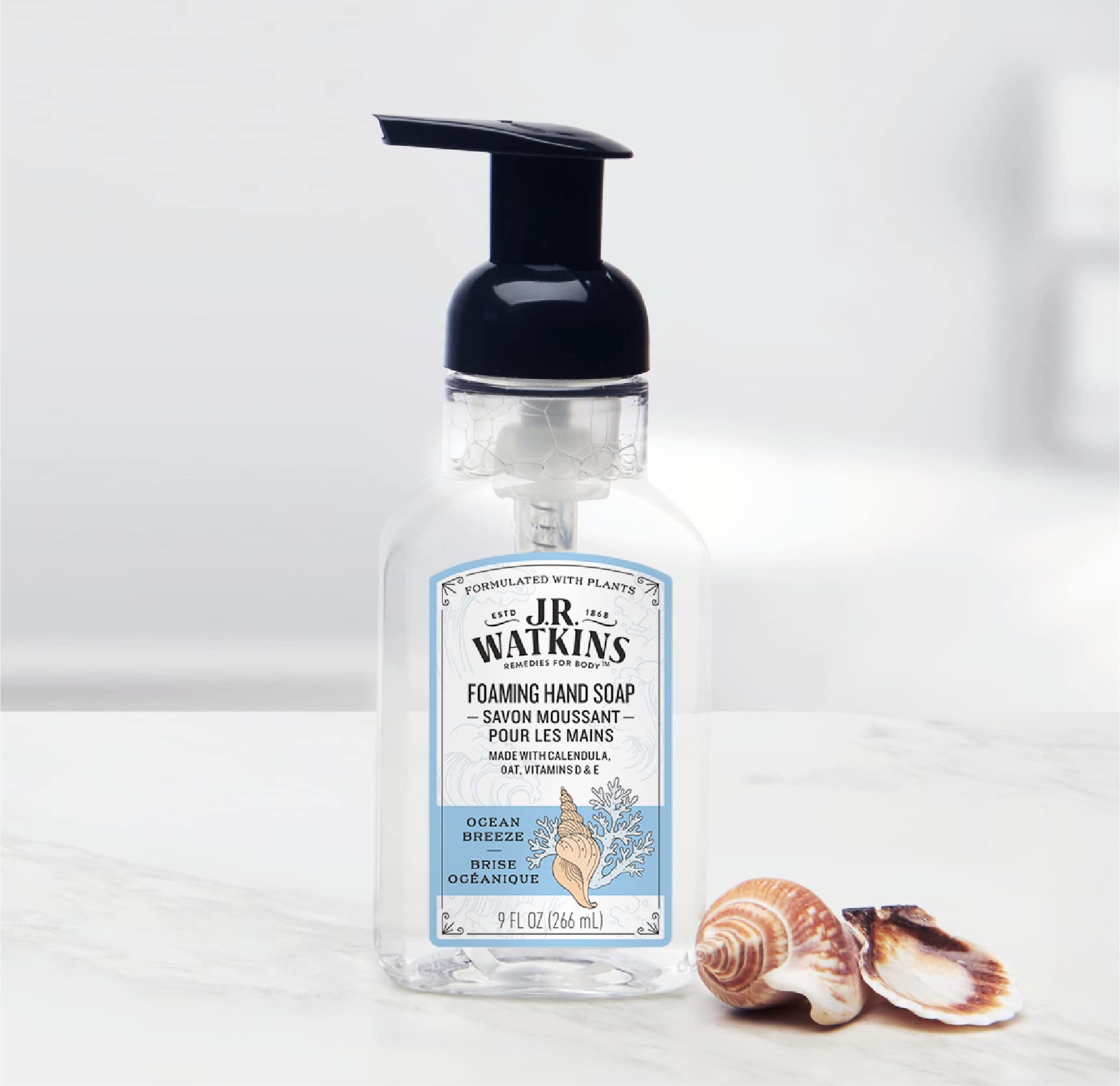 J.R. Watkins Foaming Hand Soap with Pump Dispenser – Moisturizing Foam Hand Wash, Alcohol-Free, Cruelty-Free, Brise Marine, 9 fl oz, 3 Pack