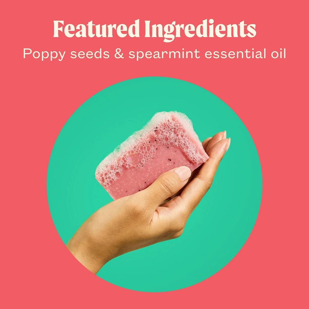 JUKEBOX Watermelon Disco Soap – Natural Cold-Process Bar, Heavy Scrub, 4.5oz (3 Pack)