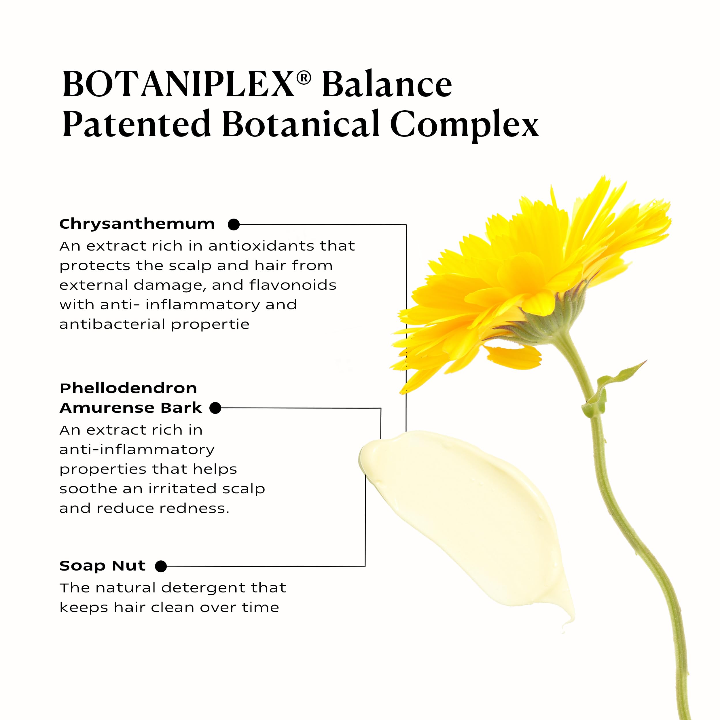 KAMEDIS Hair Conditioner Botanicals-Based | Moisturizes Dry Hair & Sensitive Scalp